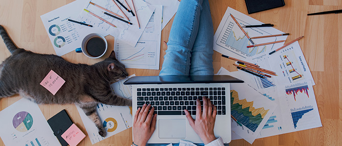 Estratégias de RH da Araponto para liderar equipes remotas e garantir a produtividade e engajamento.