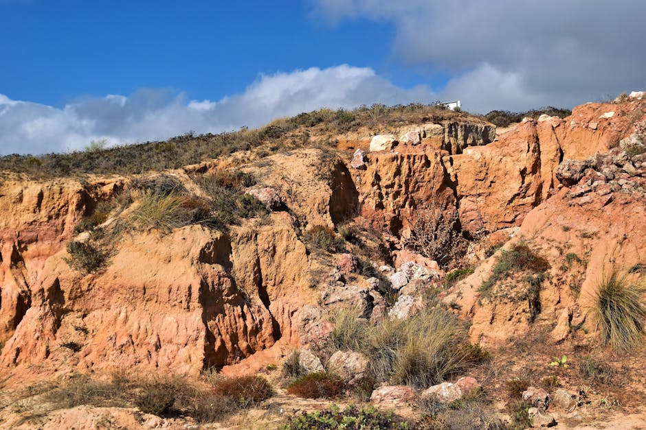 Homem utilizando smartphone para gerenciar as permissões de acesso de uma fechadura biométrica.